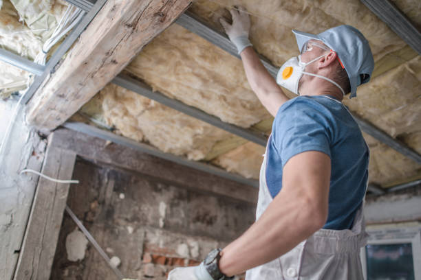 Insulation Repair Services in Inverness Highlands North, FL